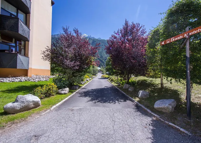 Grand Roc - Campanules 506 - Happy * 霞慕尼